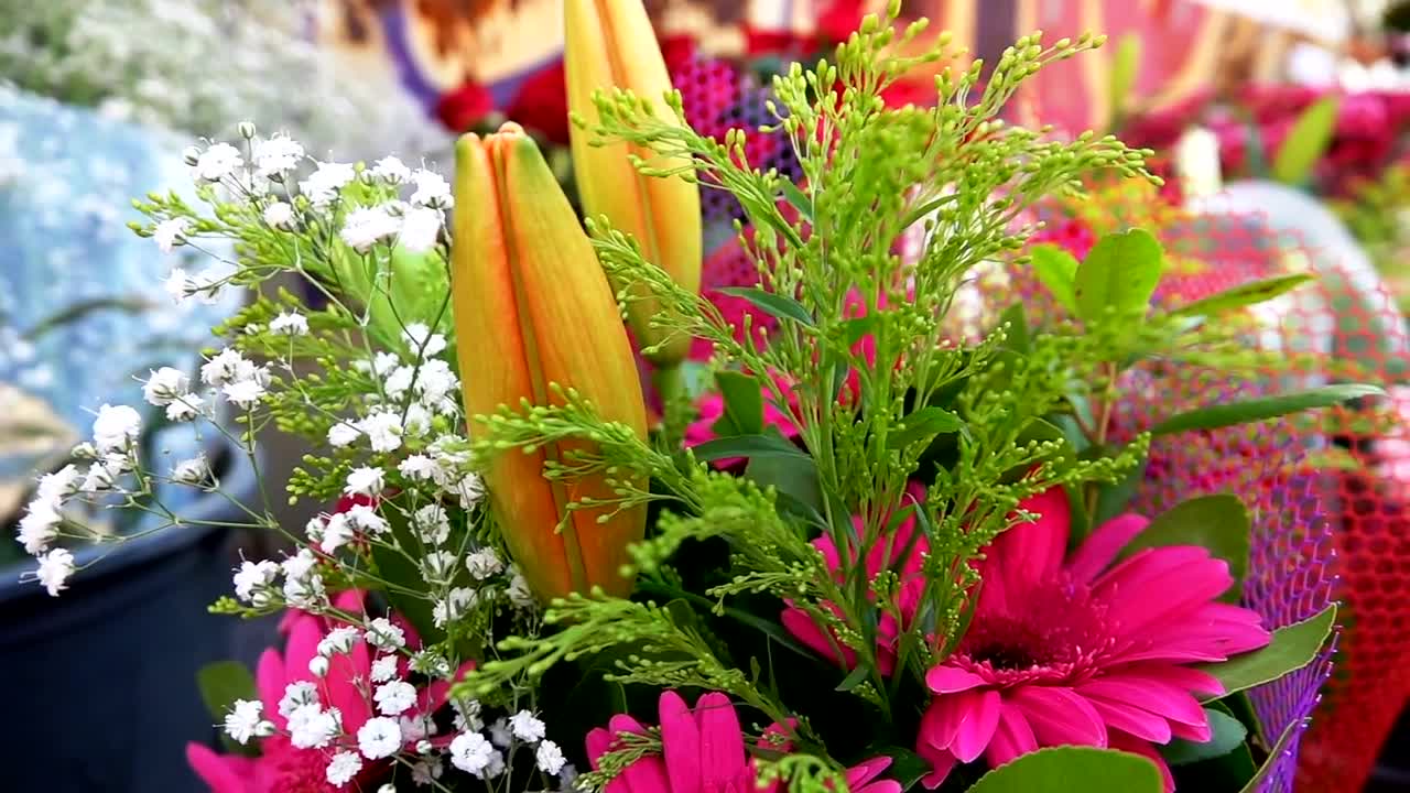 Download Stock Video Bouquets Of Assorted Flowers In A Flower Shop Live Wallpaper For PC