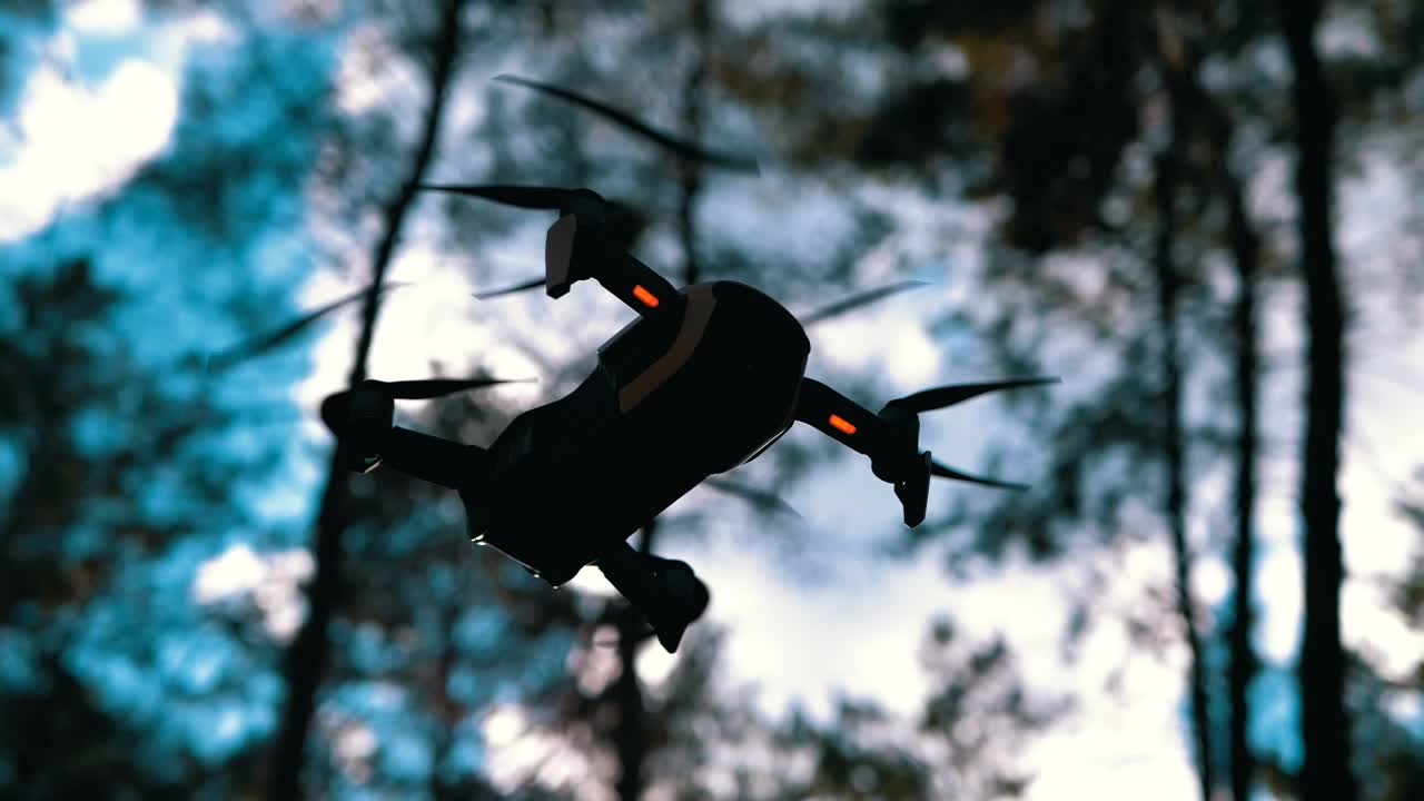 Download Stock Video Bottom View Of A Drone Hovering In The Woods Live Wallpaper For PC