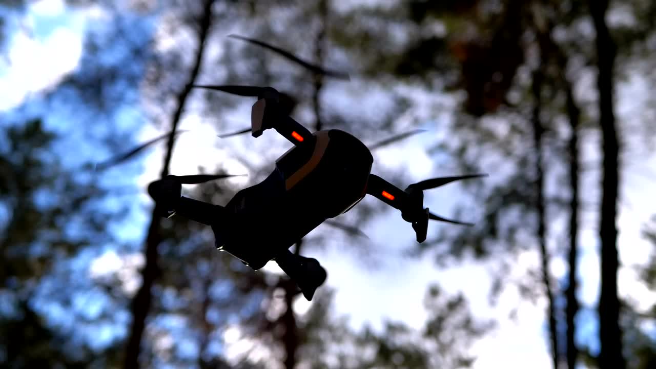 Download Stock Video Bottom Shot Of A Drone Hovering In The Woods Live Wallpaper For PC