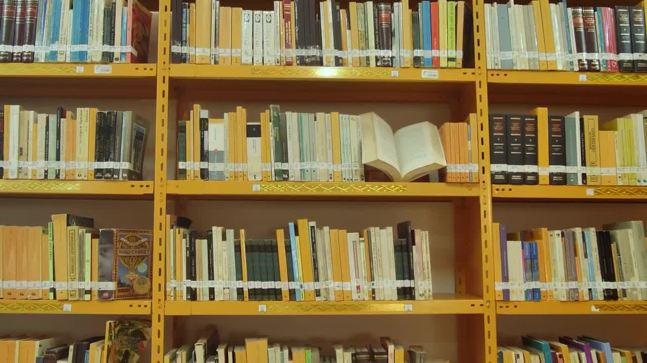 Download Stock Video Bookcase Of A Library Seen In Detail Live Wallpaper For PC