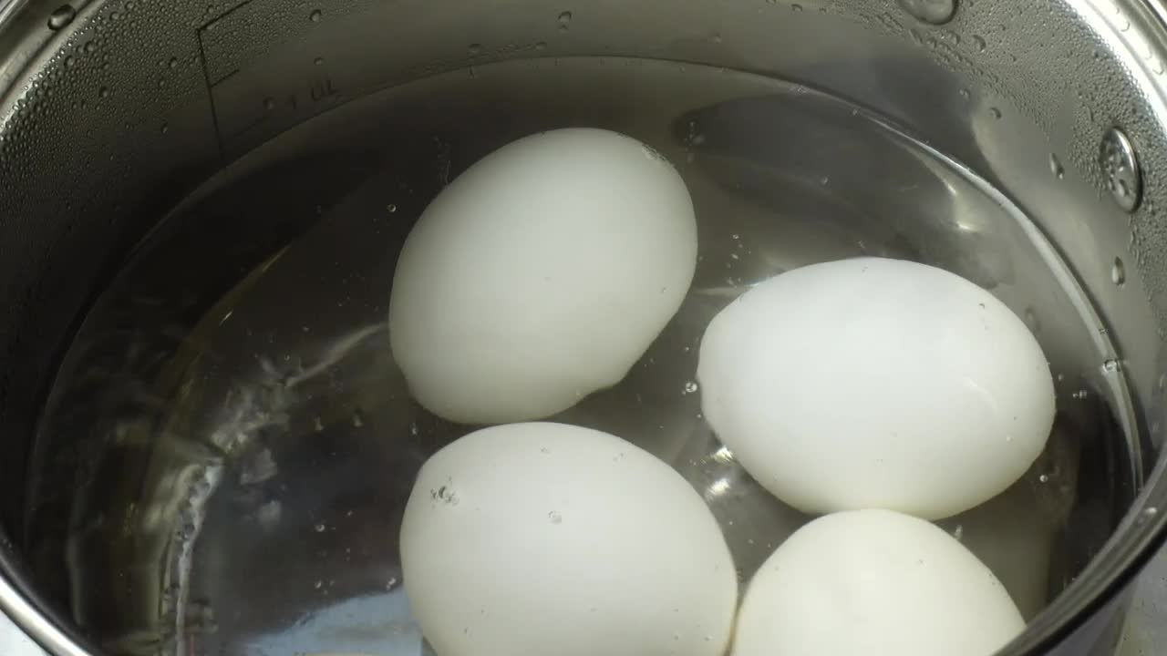 Download Stock Video Boiling White Eggs Live Wallpaper For PC