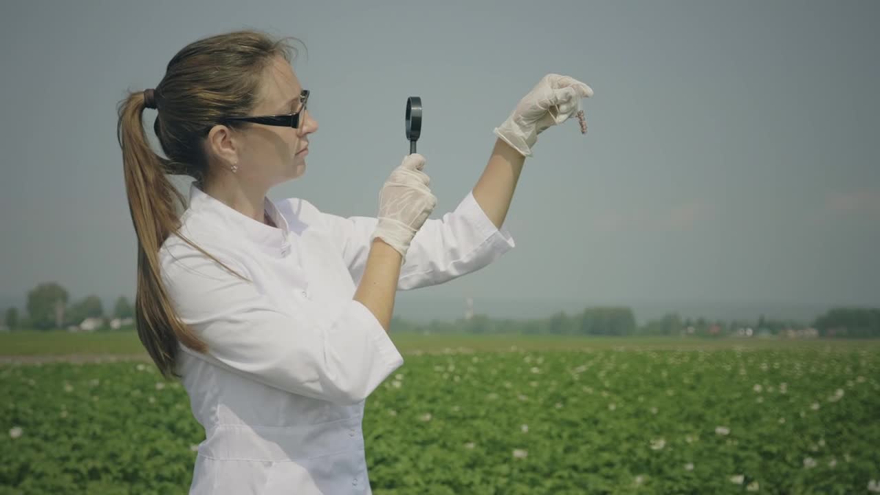 Download Stock Video Biologist Inspecting Samples In The Crop Field Live Wallpaper For PC