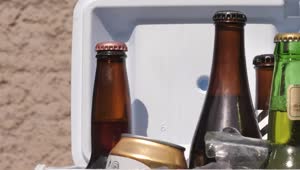 Download Stock Video Beers In A Small Cooler Live Wallpaper For PC