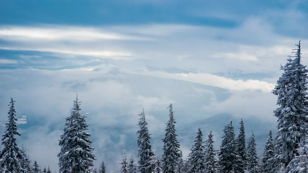 Download Video Stock Clouds And Fog Covering The View From A Snowy Woods Live Wallpaper For PC