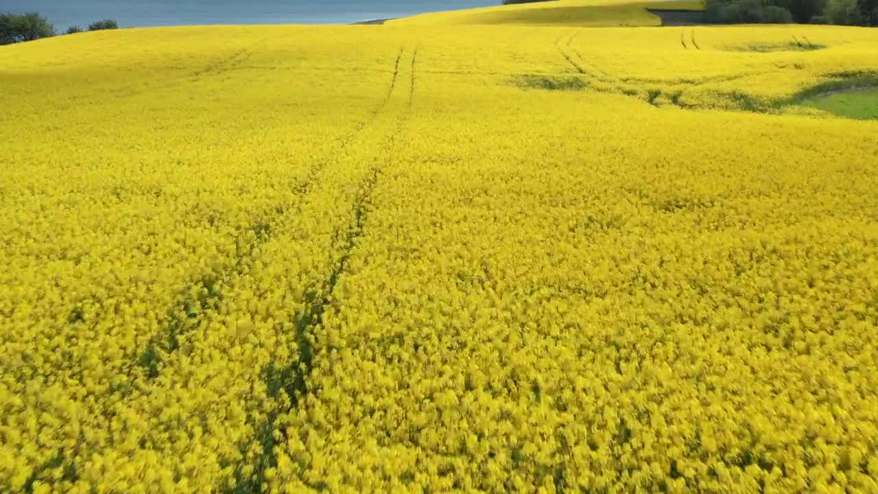 Download Video Stock Cloud Shadows Rolling Over A Field Live Wallpaper For PC