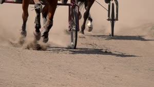 Download Video Stock Close Up Of A Race With Horses And Wagons Live Wallpaper For PC