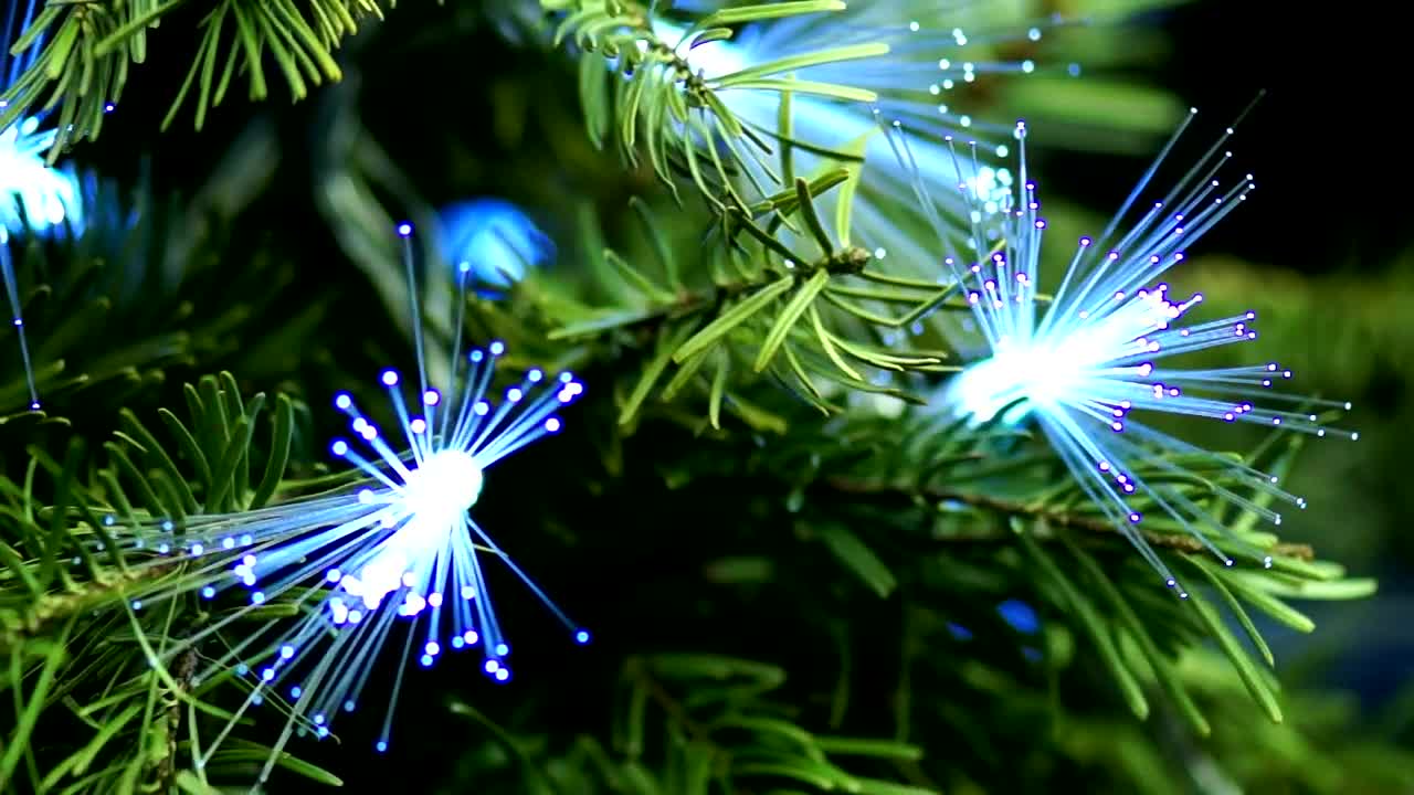 Download Video Stock Christmas Tree Decorated With Optic Fiber Live Wallpaper For PC