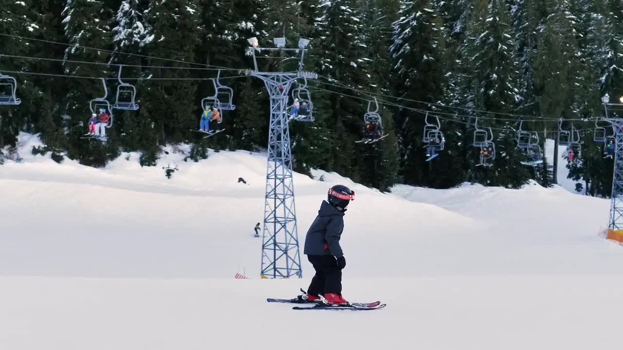 Download Video Stock Children Skiing On The Plain Of A Pine Forest Live Wallpaper For PC