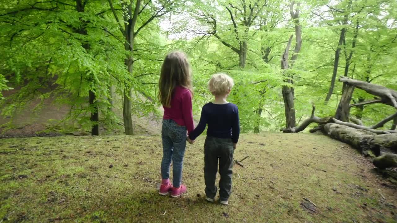 Download Video Stock Children In The Forest Live Wallpaper For PC