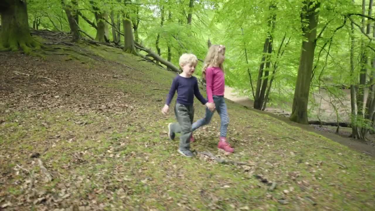 Download Video Stock Children Exploring A Forest Live Wallpaper For PC