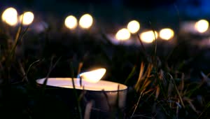 Download Video Stock Candles In The Garden At Night Live Wallpaper For PC