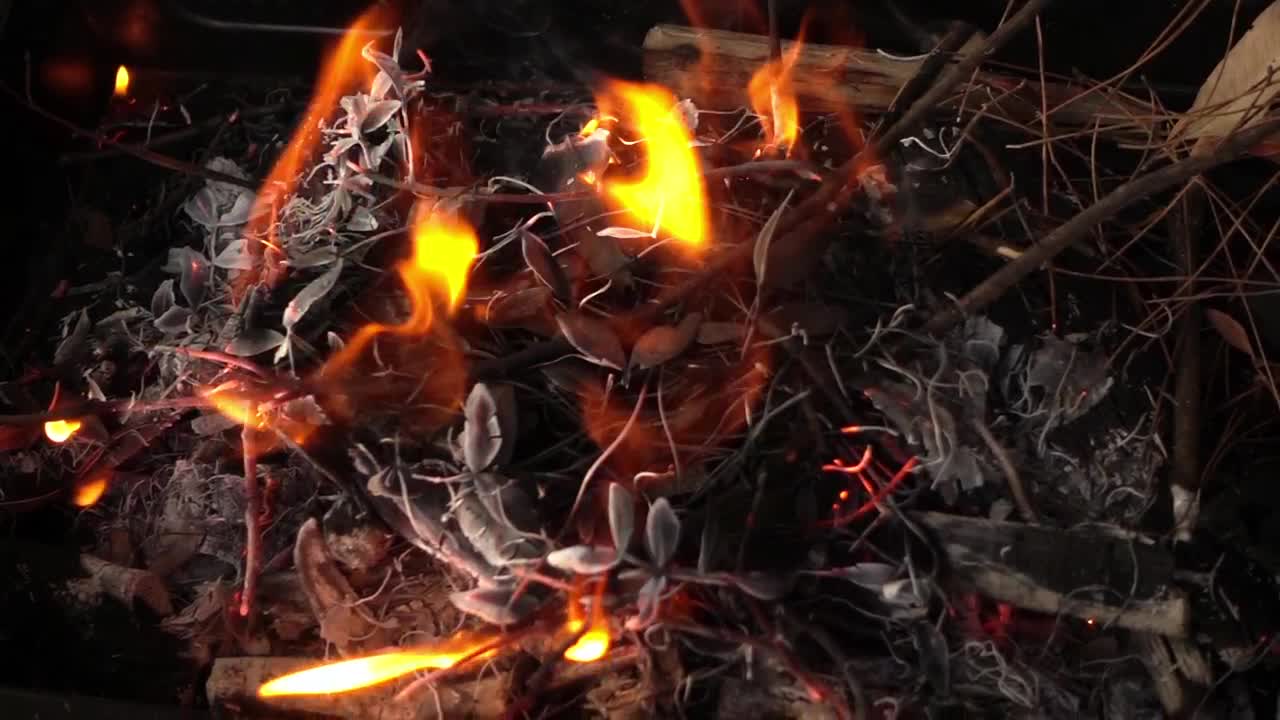 Download Video Stock Campfire Made With Branches Live Wallpaper For PC