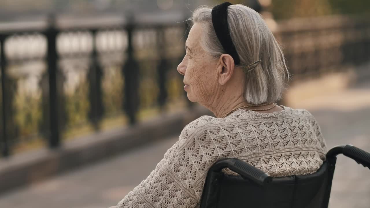 Download Video Stock Calm Elderly Woman In Wheelchair In A Park Live Wallpaper For PC