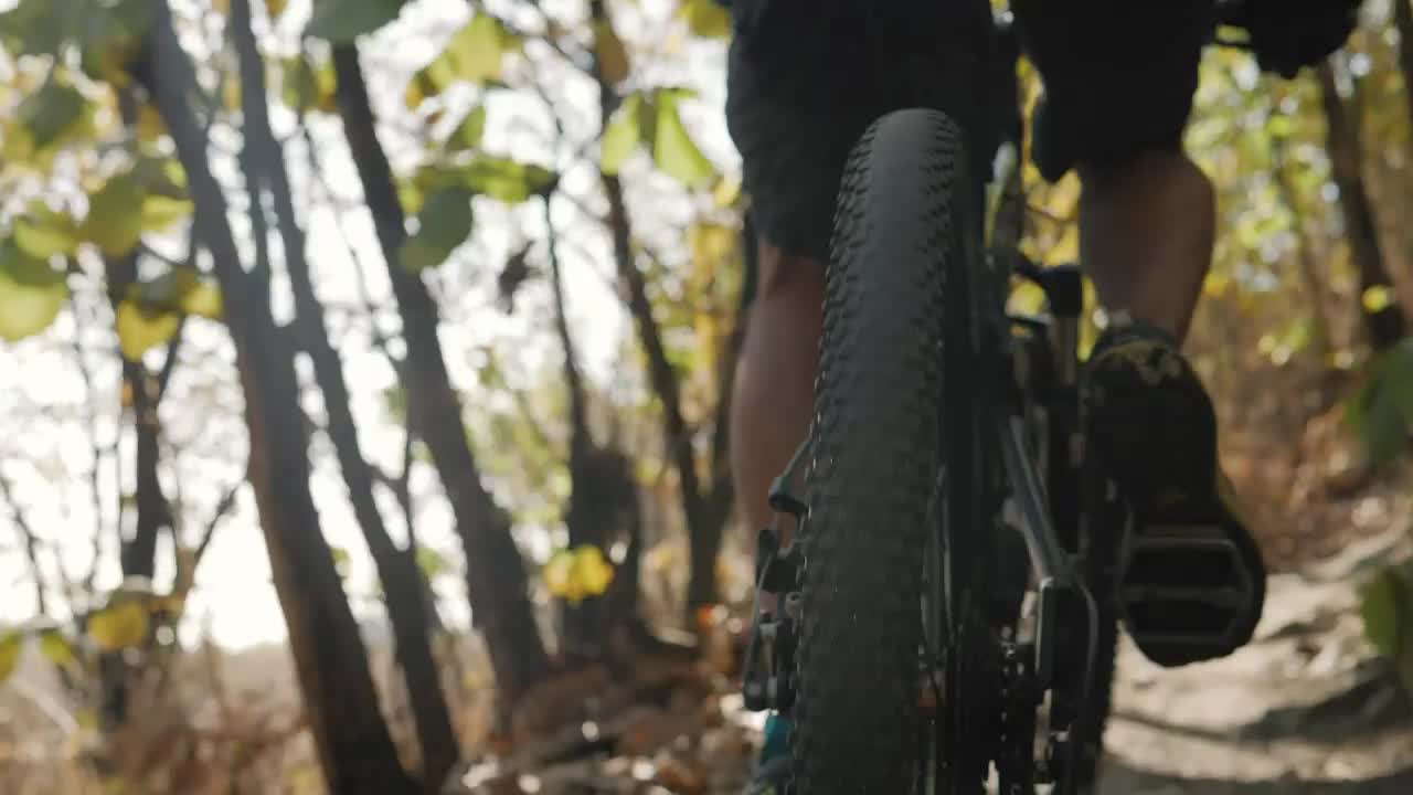 Download Stock Video Cyclist Traveling Through A Forest Seen From The Back Wheel Live Wallpaper For PC