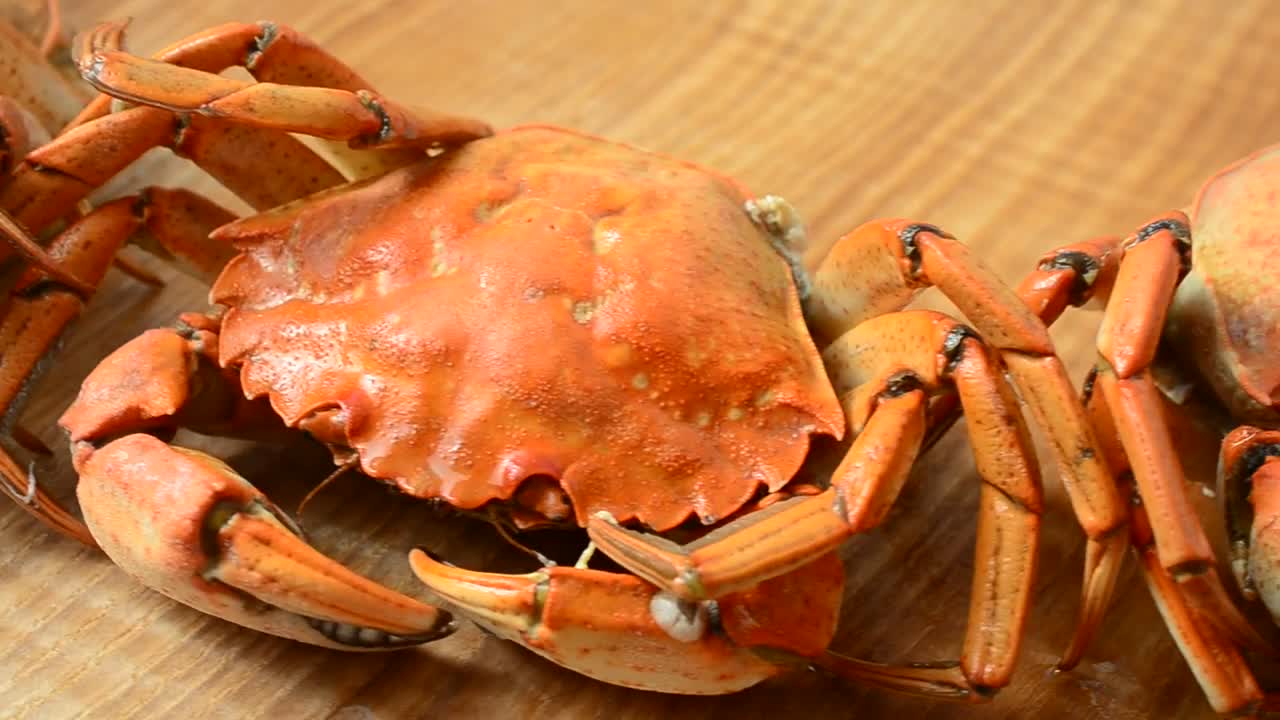 Download Stock Video Crabs On A Kitchen Table Live Wallpaper For PC