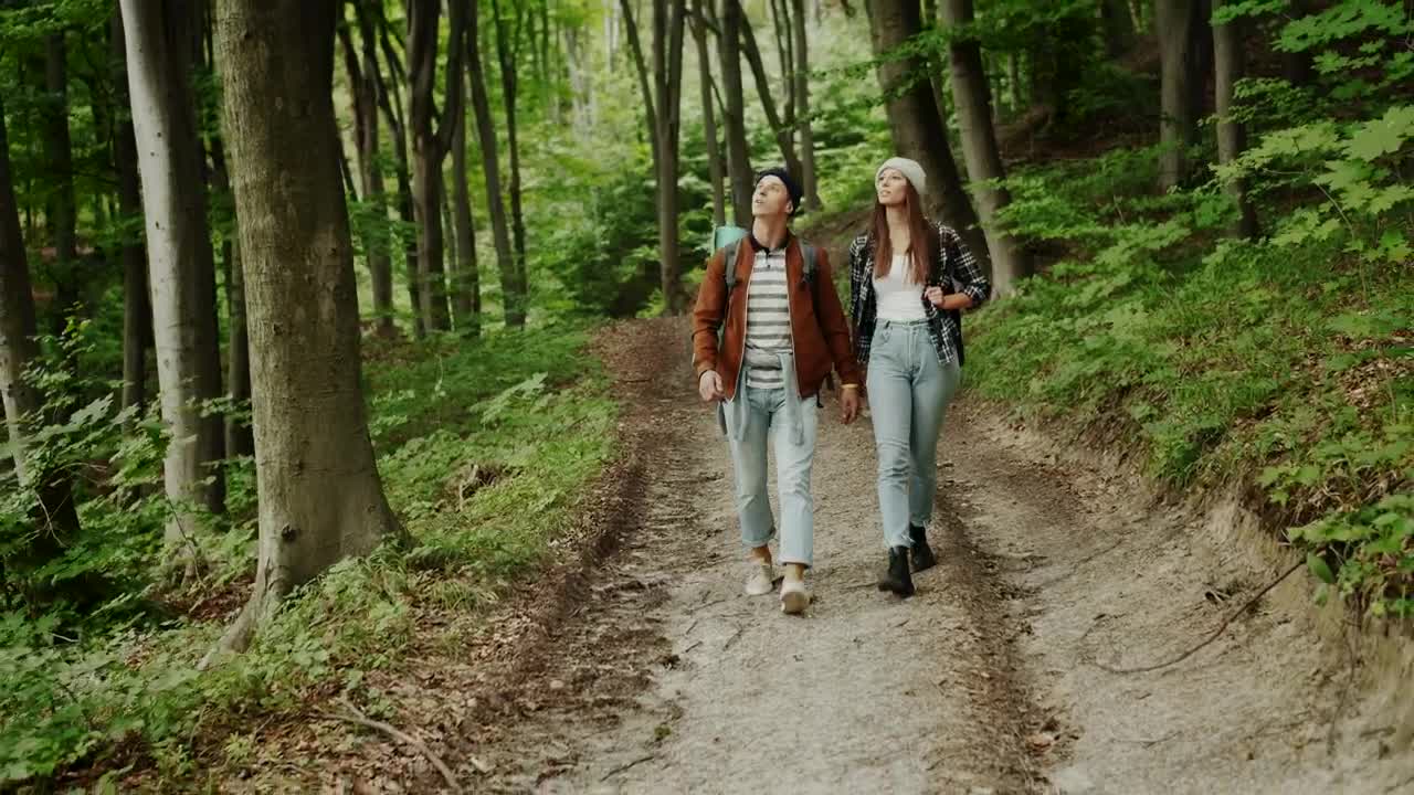 Download Stock Video Couple Walks Through The Woods Live Wallpaper For PC