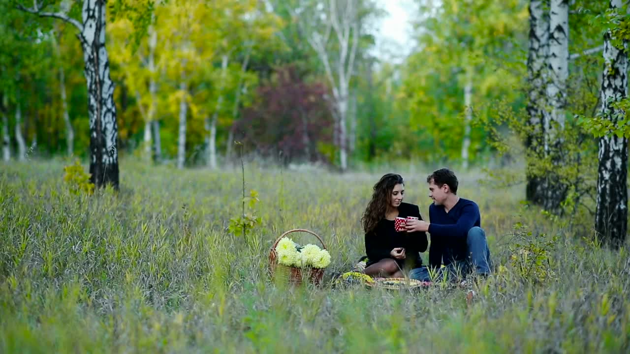 Download Stock Video Couple On A Picnic In The Middle Of Nature Live Wallpaper For PC