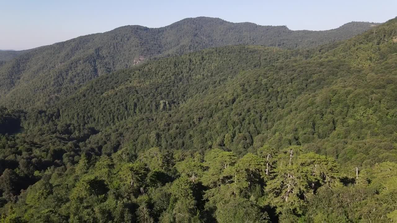 Download Stock Video Cordillera Lined With Trees On A Sunny Day Live Wallpaper For PC