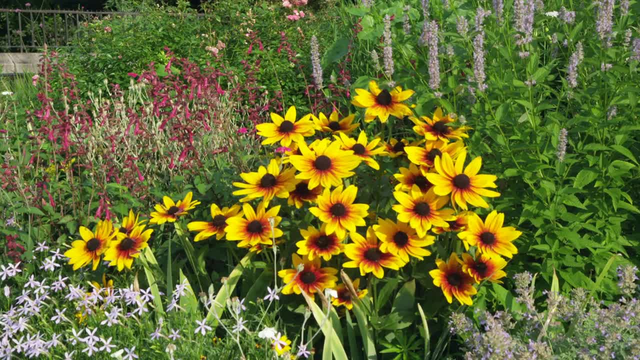 Download Stock Video Community Garden Of Wildflowers Live Wallpaper For PC