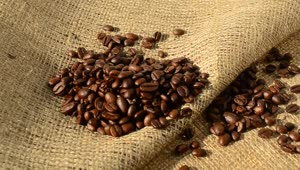 Download Stock Video Coffee Beans On A Sack Live Wallpaper For PC