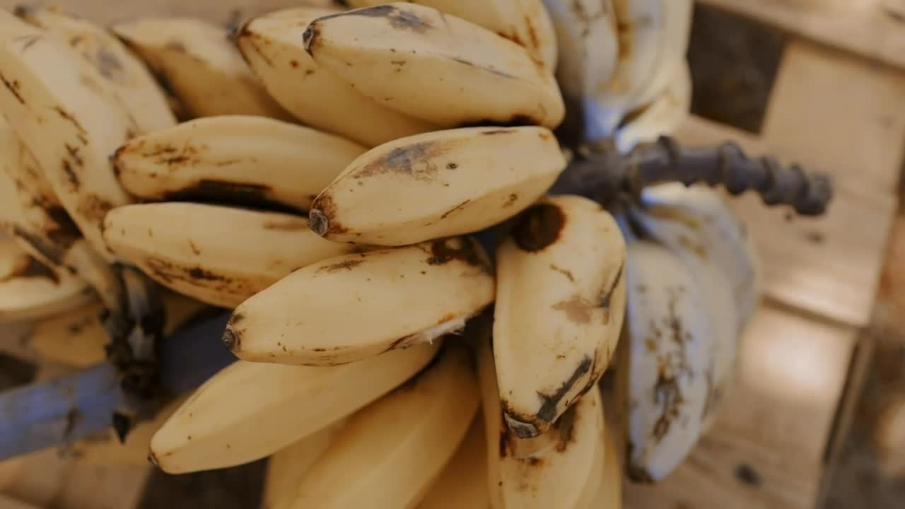 Download Stock Video Cluster Of Small Bananas Closeup Live Wallpaper For PC