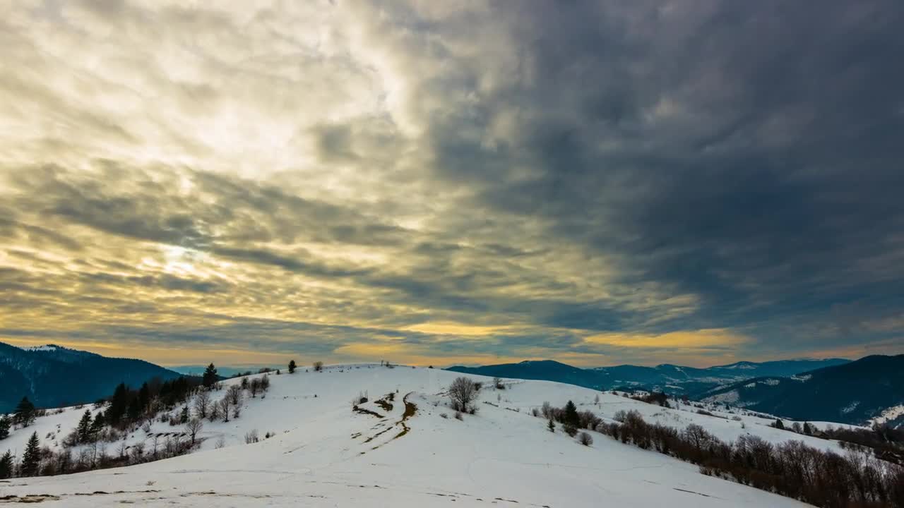 Download Stock Video Cloudy Day In A Winter Forest Live Wallpaper For PC