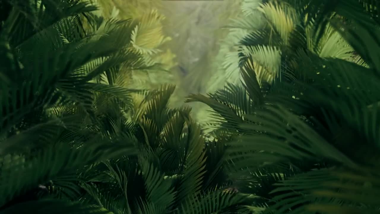 Download Stock Video Exploring The Jungle Among Plants And Palm Trees Live Wallpaper For PC