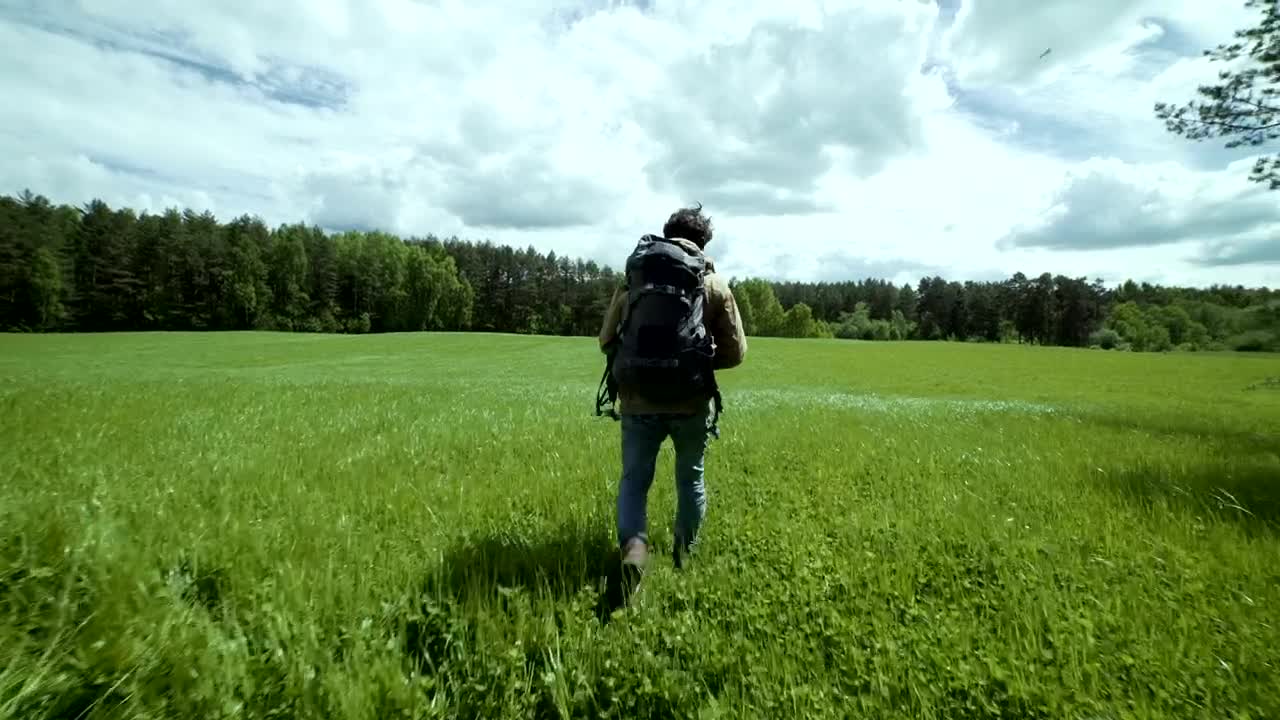 Download Stock Video Explorer Walking In A Green Meadow Live Wallpaper For PC