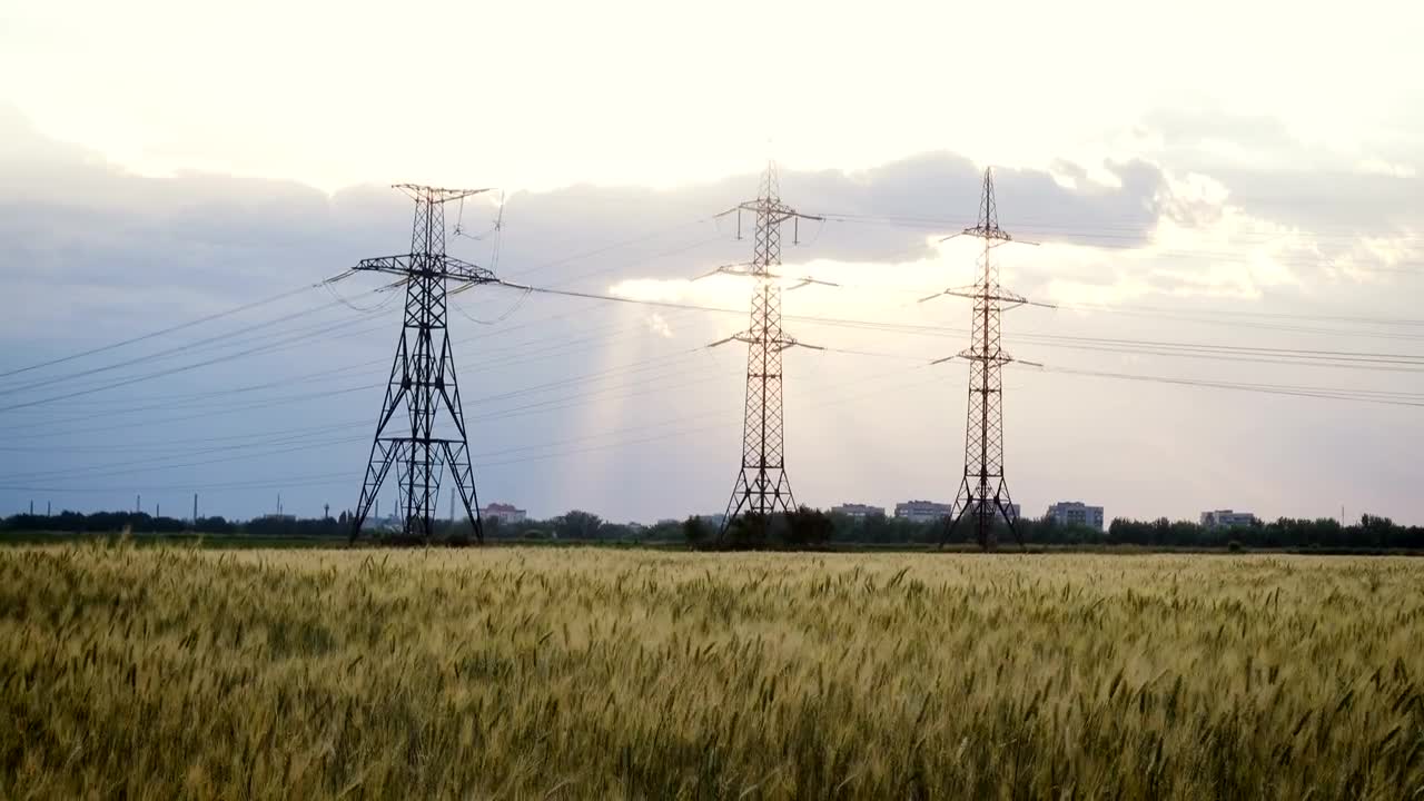 Download Stock Video Electric Towers In A Wheat Field Live Wallpaper For PC