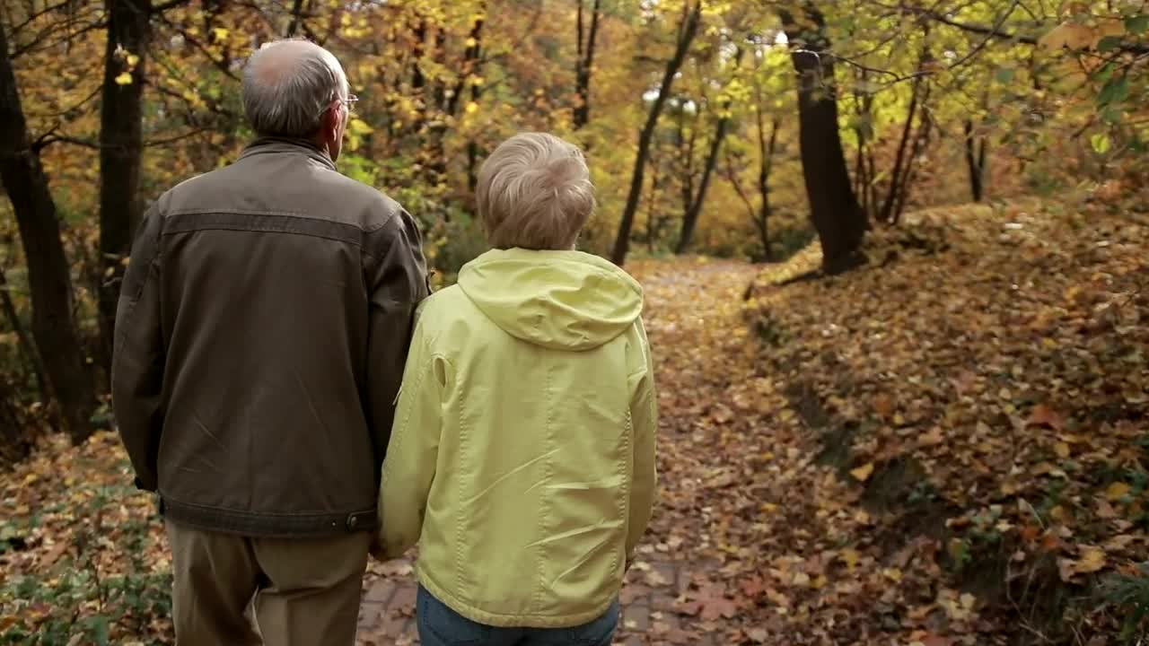 Stock Video Elderly Couple Embracing Live Wallpaper For PC