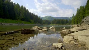 Download Stock Video Edge Of A Lake In The Woods In The Mountains Live Wallpaper For PC
