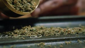Download Stock Video Dropping Weed From A Grinder Live Wallpaper For PC
