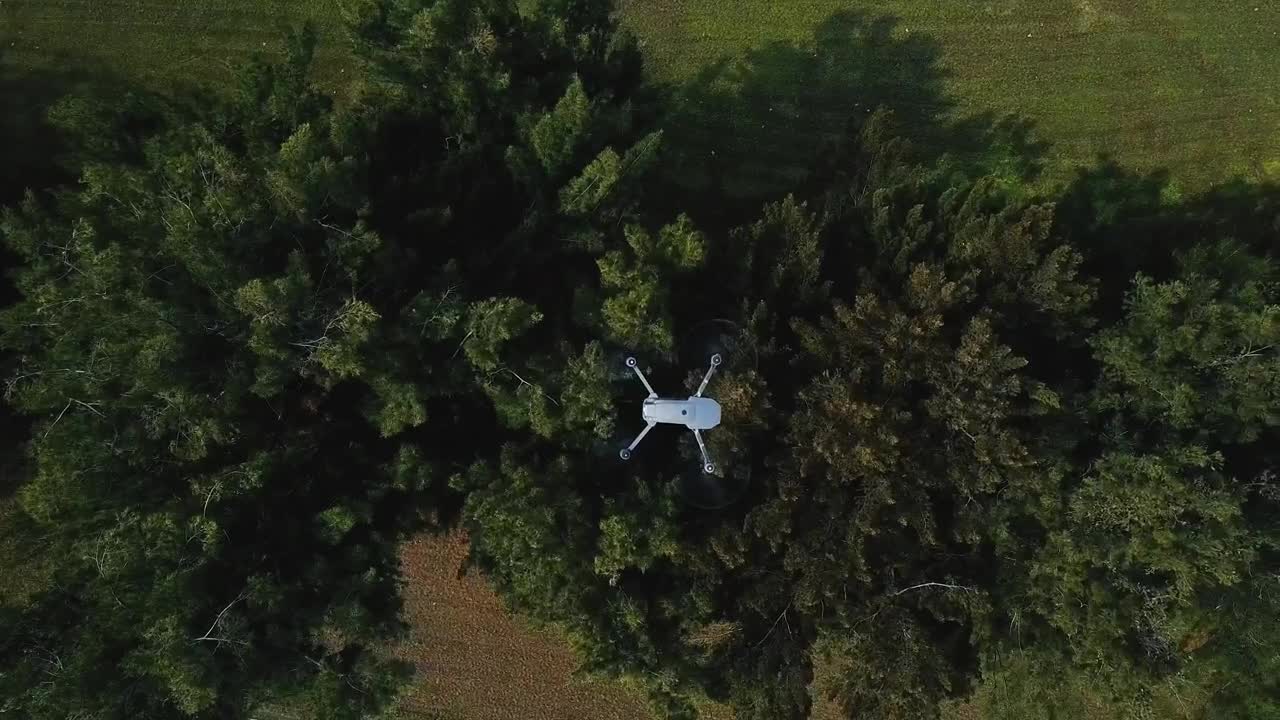 Download Stock Video Drone View Over Trees Live Wallpaper For PC