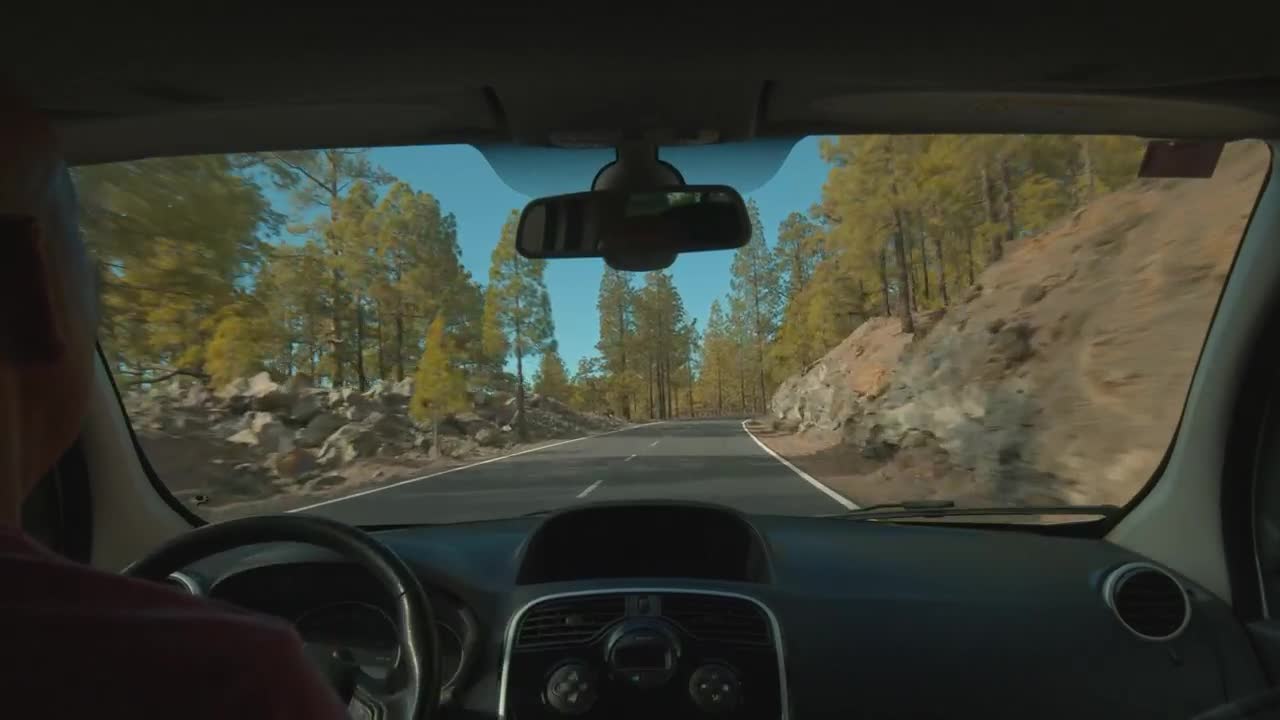 Download Stock Video Driving Through A Forest In Tenerife Live Wallpaper For PC