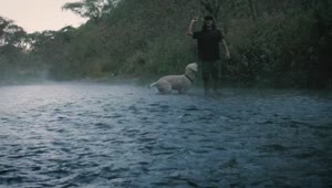 Download Stock Video Dog And Owner Playing With A Ball In A Creek Live Wallpaper For PC