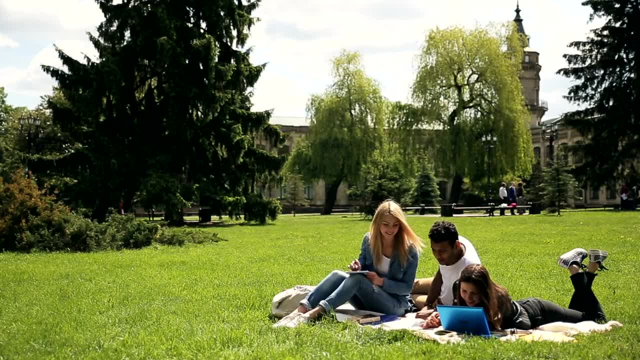 Download Stock Video Diverse Unversity Students Study On Grass Live Wallpaper For PC