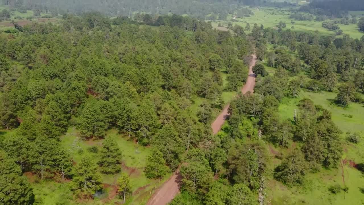 Download Stock Video Dirt Road That Crosses A Forest From Above Live Wallpaper For PC