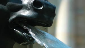 Download Stock Video Fountain In The Shape Of An Animal Sculpture Close Up Live Wallpaper For PC