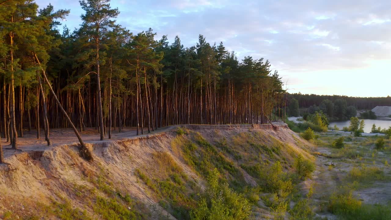 Download Stock Video Forest Full Of Trees Next To A Valley Live Wallpaper For PC