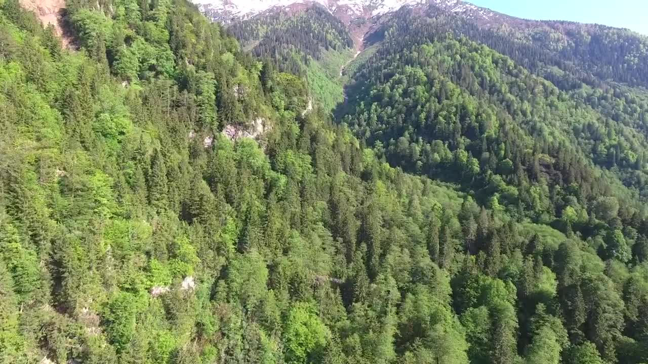 Download Stock Video Forest And Mountain Landscape Live Wallpaper For PC