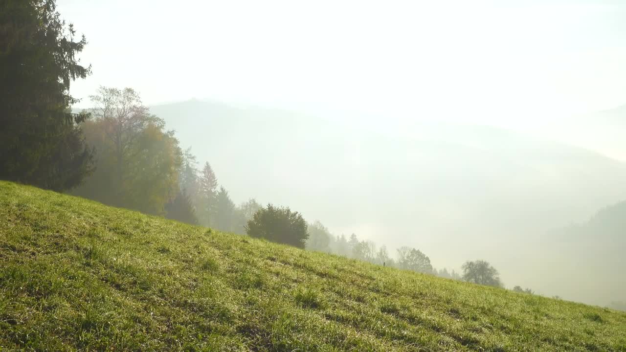 Download Stock Video Foggy Morning In The Mountains Live Wallpaper For PC