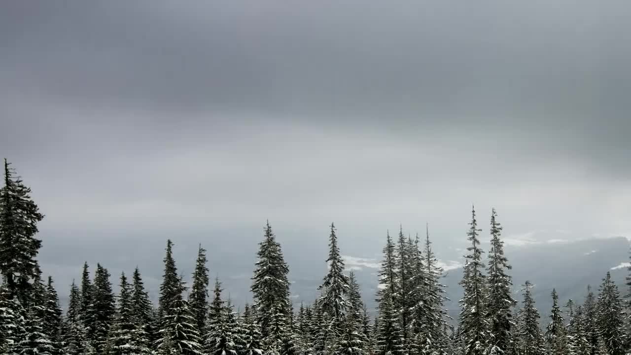 Download Stock Video Foggy Environment At Snowy Moutains Live Wallpaper For PC