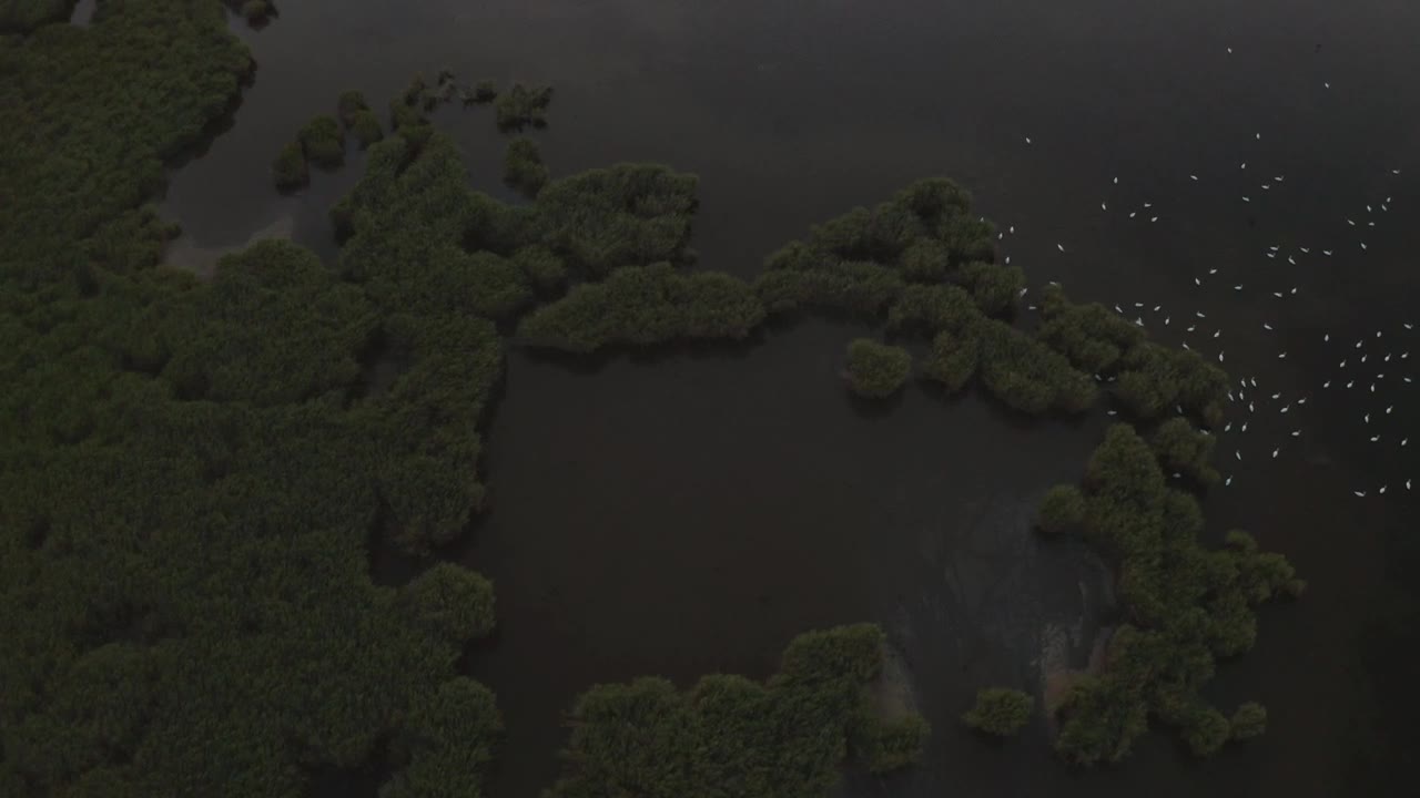 Download Stock Video Flying Over Flooded Fields Live Wallpaper For PC