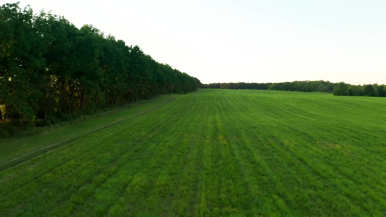 Download Stock Video Flying Over A Green Field And A Tree Line Live Wallpaper For PC