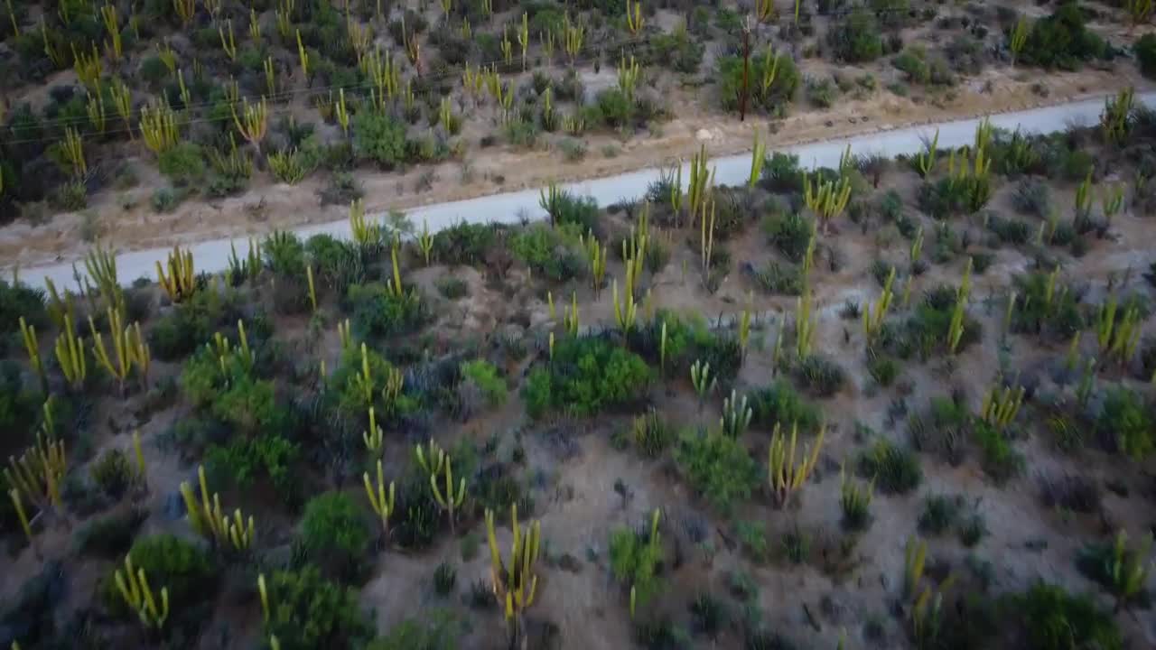 Download Stock Video Flying Over A Field Full Of Vegetation Live Wallpaper For PC