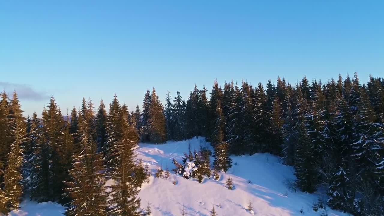 Download Stock Video Fly Over A Pine Mountain At Winter Live Wallpaper For PC