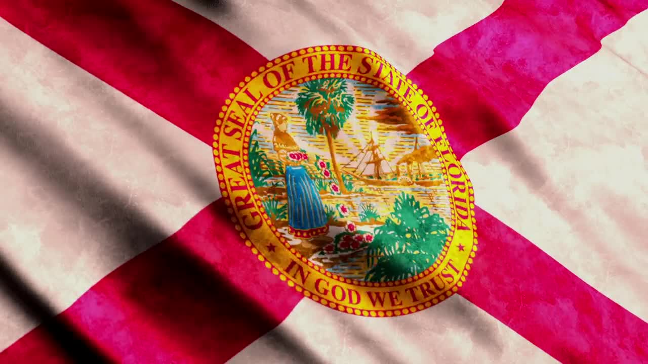 Download Stock Video Florida State Flag Live Wallpaper For PC