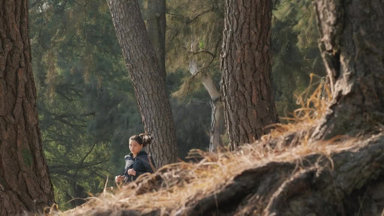 Download Stock Video Fitness Girl Running Through A Forest Live Wallpaper For PC