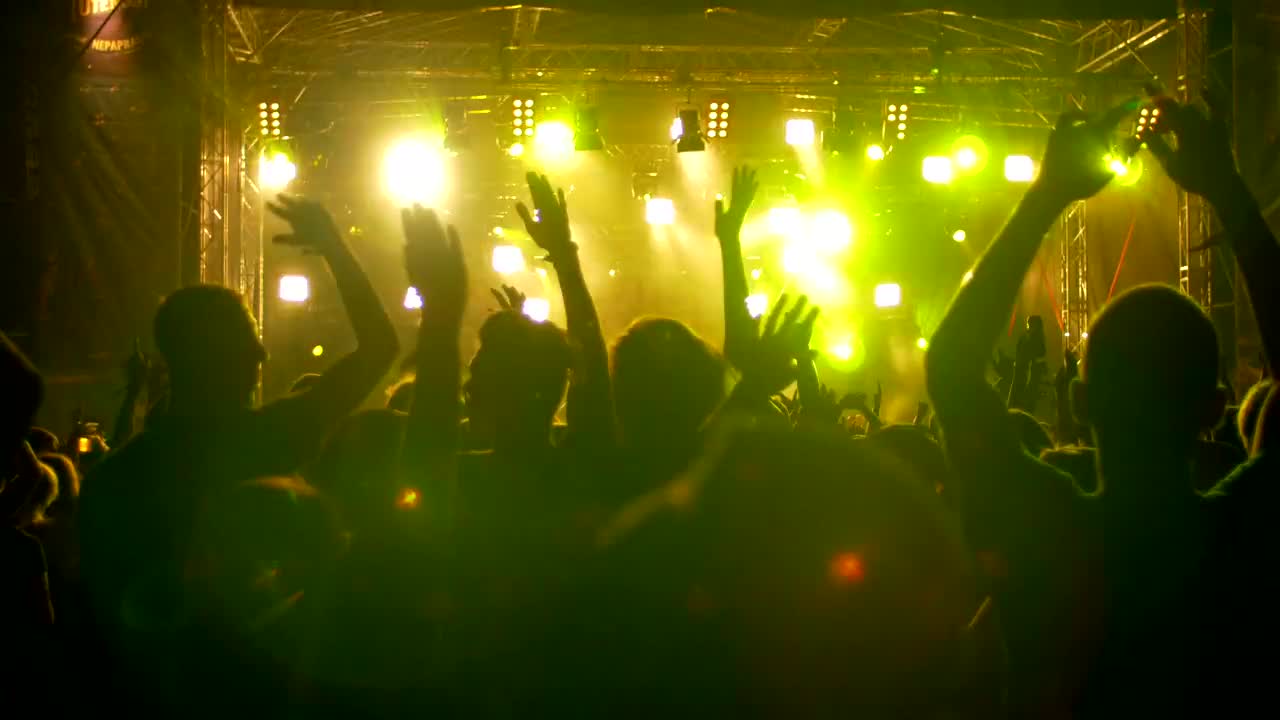 Download Stock Video Festival Crowd Jumping And Dancing At Night Live Wallpaper For PC