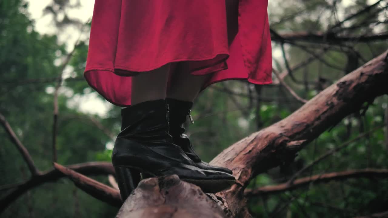 Download Stock Video Feet Of A Woman Standing On A Large Branch Seen Live Wallpaper For PC